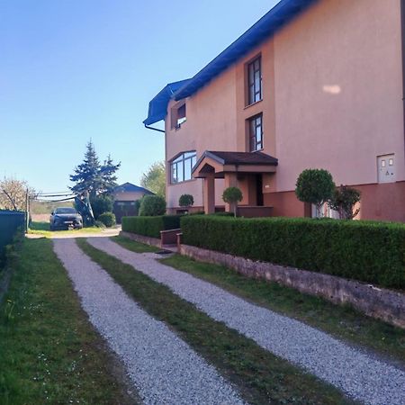 Apartman Kristian Zagreb Airport Velika Gorica Exterior photo